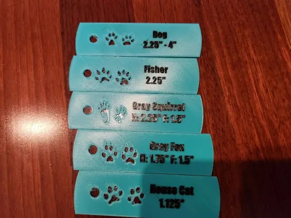 Animal Tag Make Gallery 3